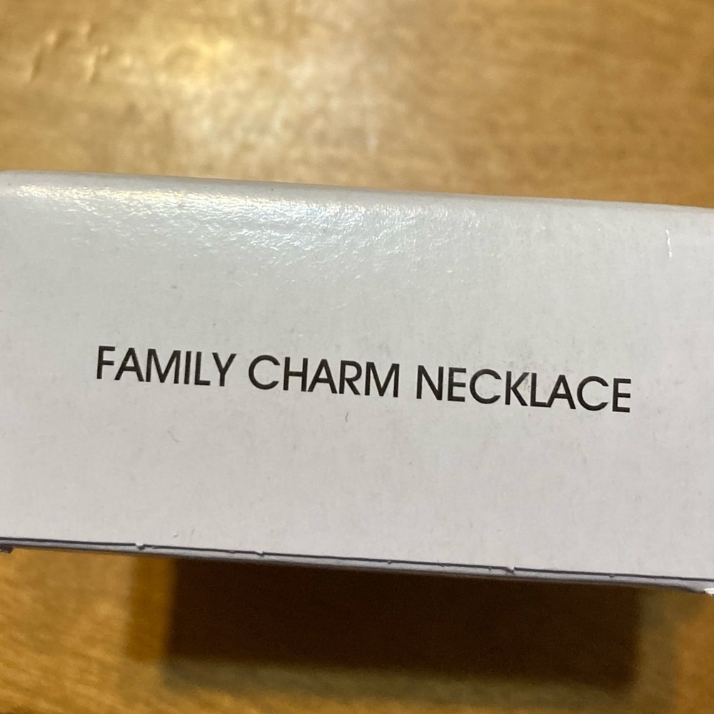 Family Charm Necklace from Avon - Picture 14 of 14